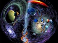 Cosmos organique