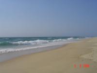 ETE 2008