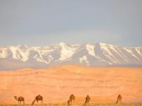 Maroc : Terre de contrastes