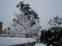 Neige du 20 décembre 2010