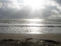 Plage apres la tempete