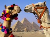 Couleurs d'Egypte