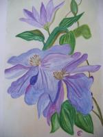 Aquarelle : Un passe-temps