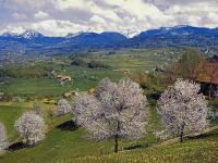Les préalpes