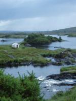 Verte Irlande