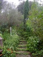 Jardin en Provence