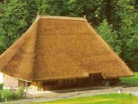Toit de chaume 2
