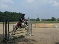 Obstacle Poney