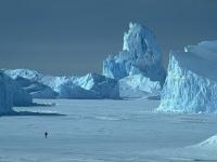Si petit sur cet iceberg