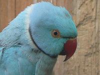 Couleur de ciel