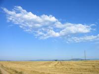 Hautes Plaines de Valensole