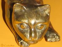 Chat de Bali