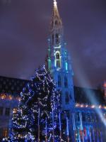 Joli spectacle son et lumière
