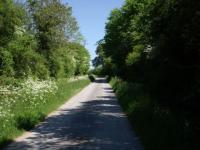 Campagne à Semuy