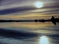 Matane
