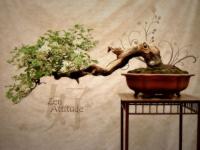Zenattitude