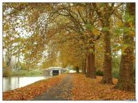 Lumière d'automne