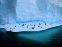 Living on ice...