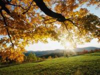 Soleil d automne
