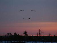 Sourire du ciel
