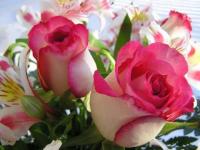 2 roses