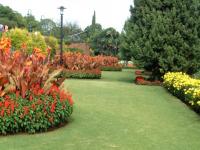 Un très beau jardin fleuri