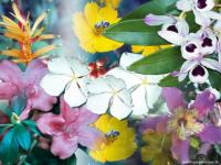 Flores 13
