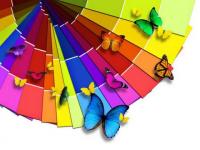 Couleur papillon