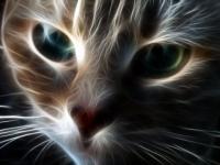 Fractale Chat