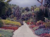 Jardin Fleuri