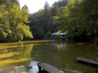 Waldsee 2008