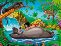 C'est cool la jungle