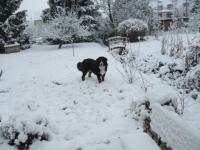 Doudou sous la neige