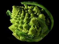 El Romanesco
