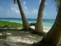 Belle plage martinique