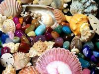 Pierres et coquillages