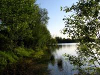 Gravière