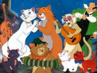 Rockin' Cats !