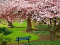 Primavera 2