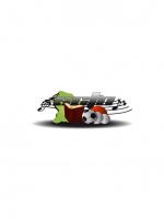 Puzzle asso