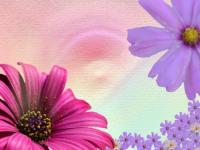 Flores-2