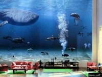 Salon design