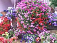 Jardin extraordinaire...