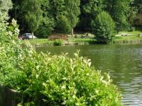 Etang à Rambouillet