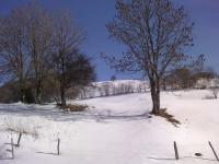 Neige Auvergne