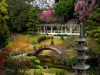 Jardin japonais, pont