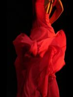 Danse du feu