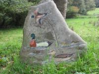 Canards du Moulin neuf
