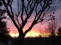 Paysage 2008