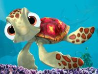 Nemo tortue